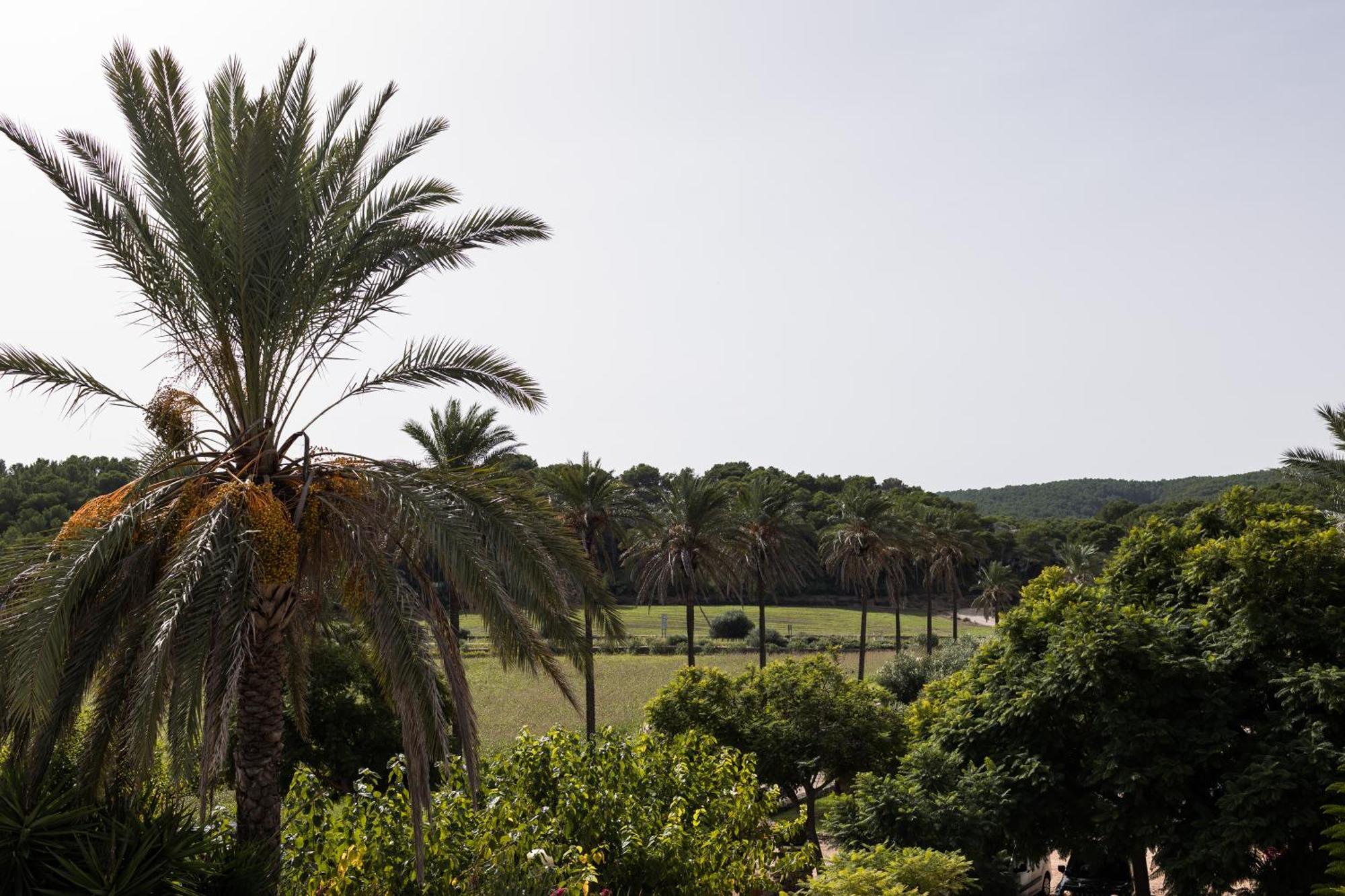 Llucatx Menorca Hotel Son Parc Szoba fotó